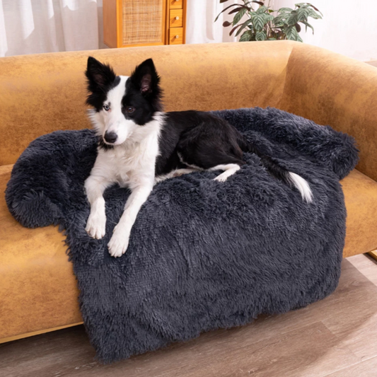 Pawppie Sofa Bed