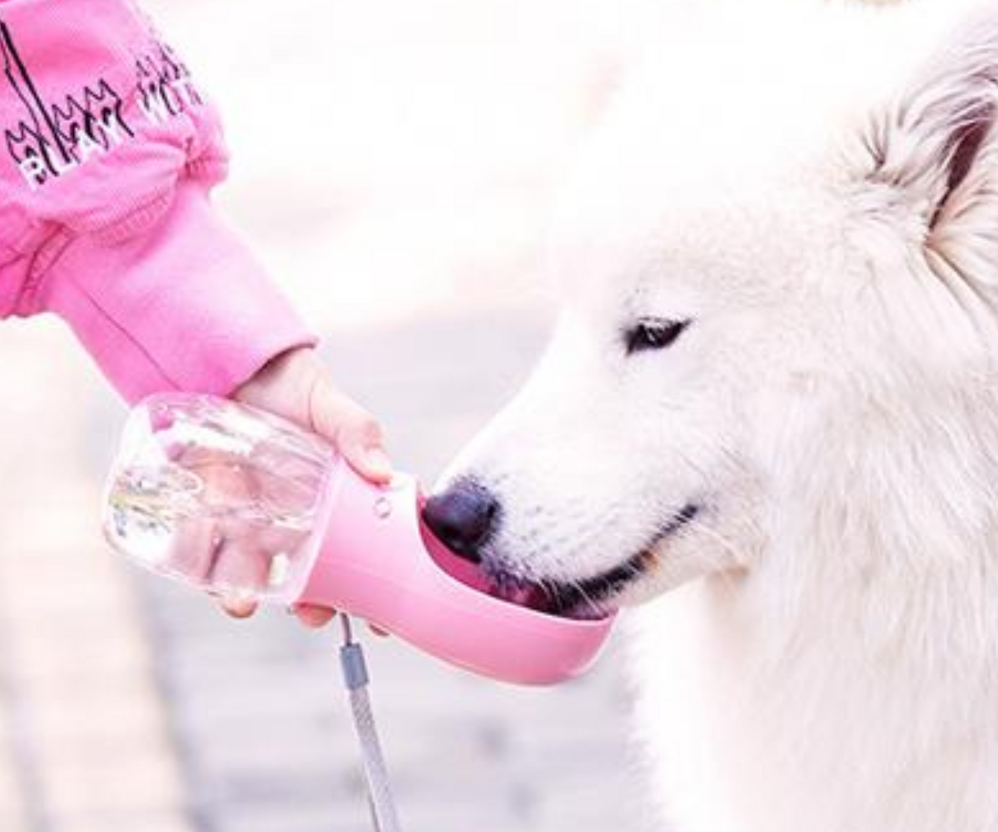 Pawppie Water Bottle